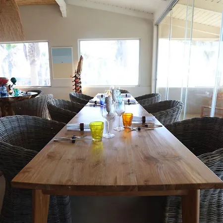 Barracuda ורקטורו