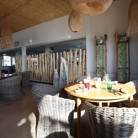 Barracuda ורקטורו